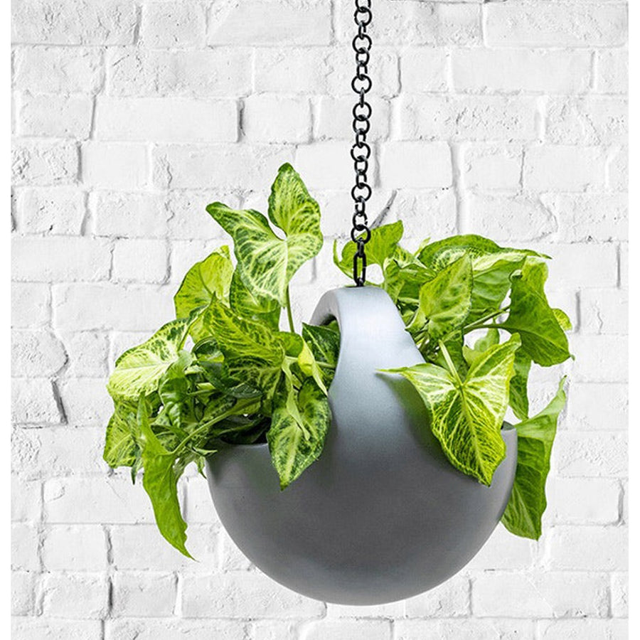 Fehér fal előtt lógó Matt Grey kaspó friss, zöld növényekkel, karakteres függesztékkel.