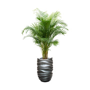 Plasztikus formájú, belső ültetőkaspóval ellátott, szürke színű, dizájn műgyanta kaspó