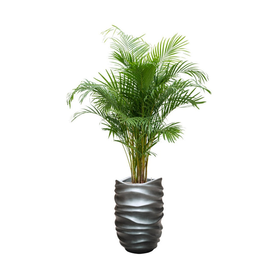 Plasztikus formájú, belső ültetőkaspóval ellátott, szürke színű, dizájn műgyanta kaspó