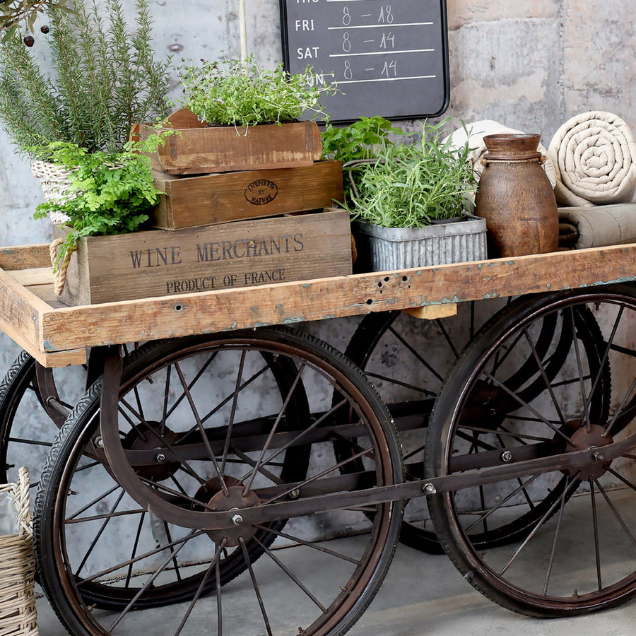 dekorált vásári kocsi asztal növényekkel