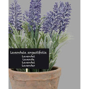 Pecsétes terrakotta cserépbe helyezett, levendula bokor műnövény.
