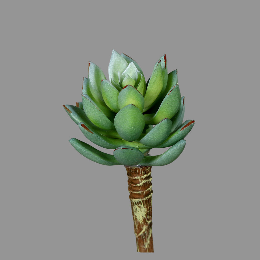 Élethű, betűzős kövirózsa műnövény, kétféle változatban.