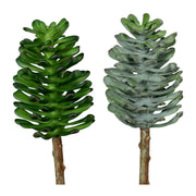 Élethű  betűzős varjúháj műnövény, kétféle változatban.