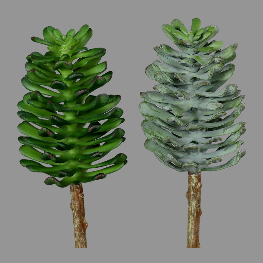 Élethű  betűzős varjúháj műnövény, kétféle változatban.