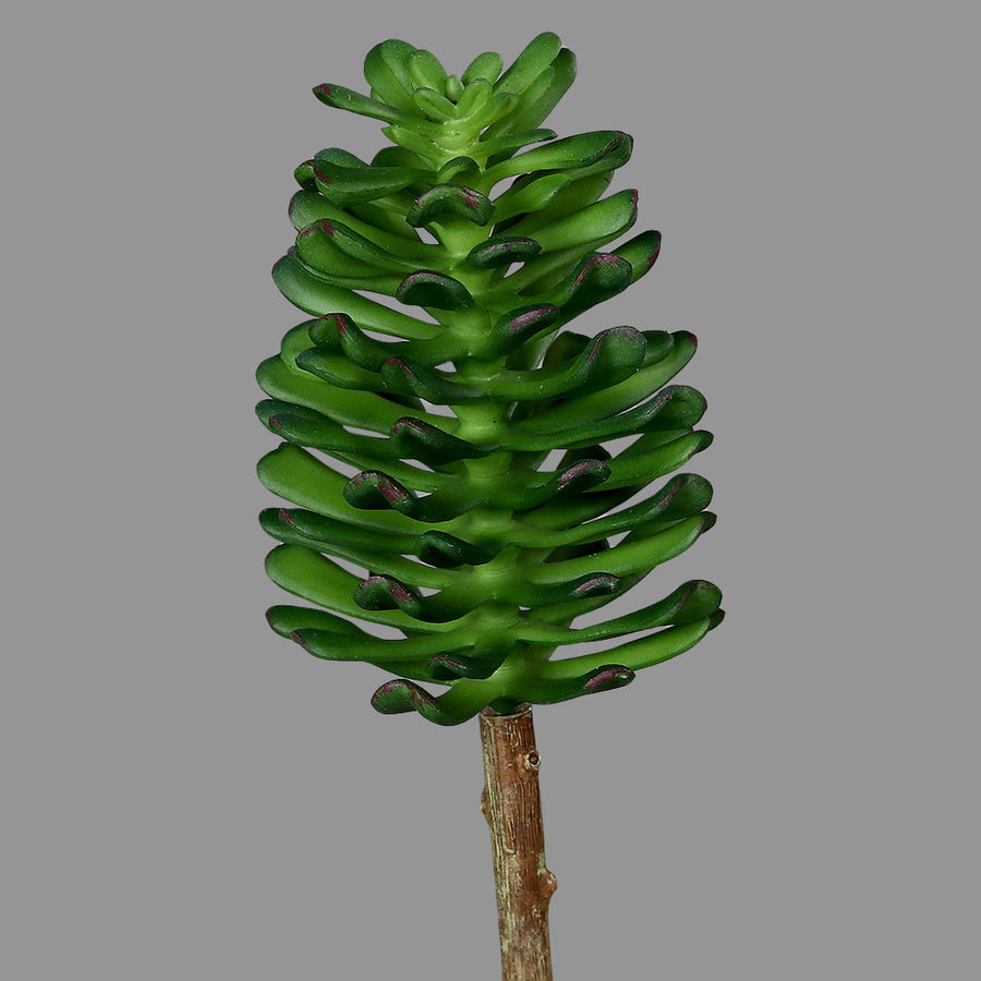 Élethű  betűzős varjúháj műnövény, kétféle változatban.