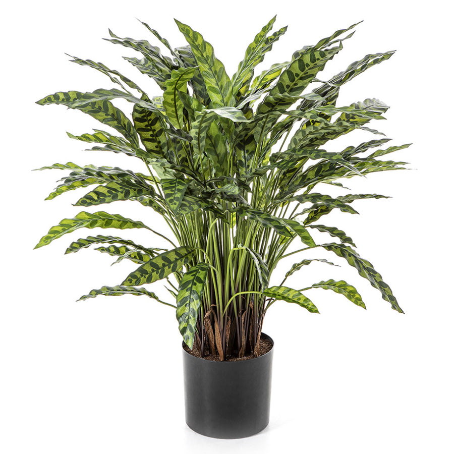 Élethű megjelenésű, mű zebralevél növény, fekete műanyag cserépben