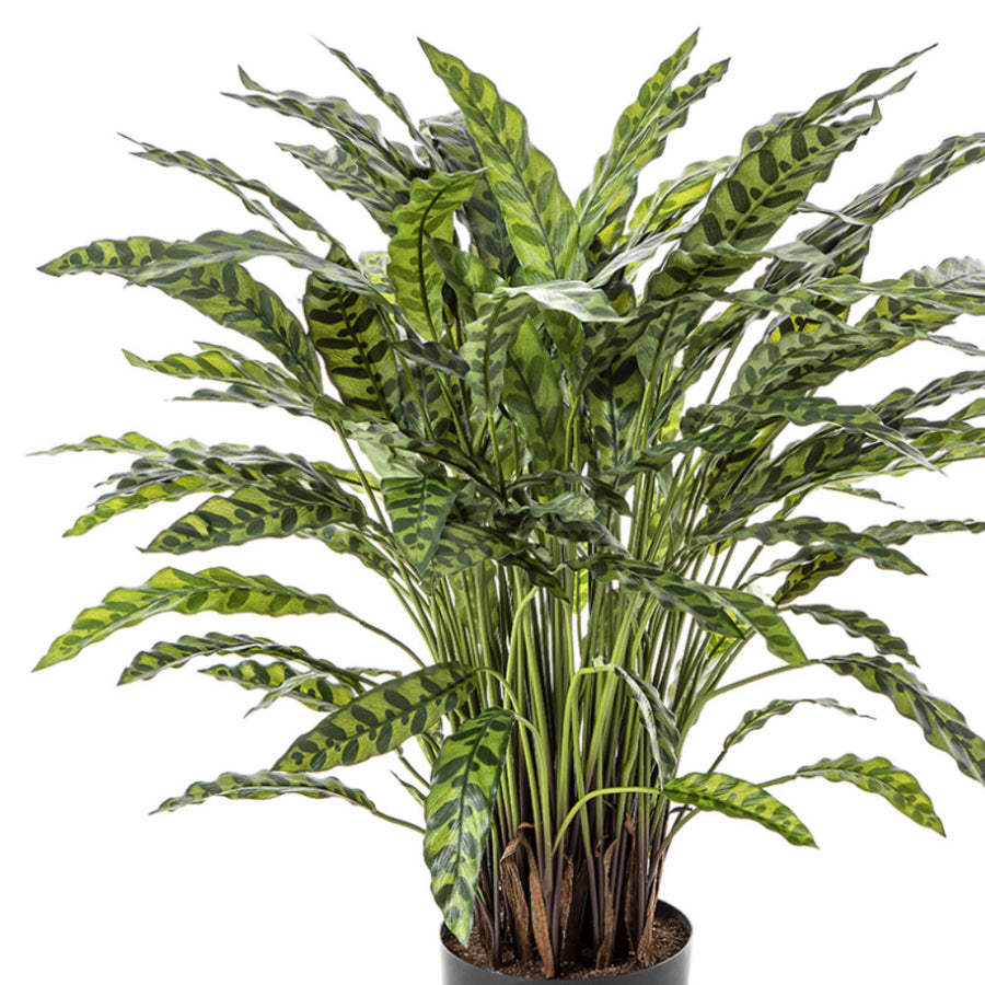 Élethű megjelenésű, mű zebralevél növény, fekete műanyag cserépben