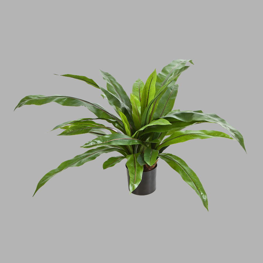 Élethű, 80 cm magas, mű madárfészek páfrány fekete műanyag cserépben