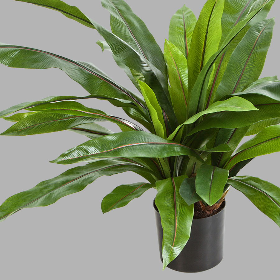 Élethű, 80 cm magas, mű madárfészek páfrány fekete műanyag cserépben