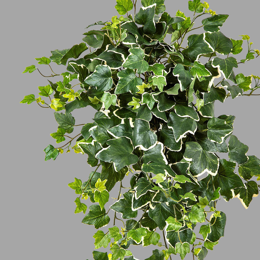 Élethű megjelenésű, 65 cm hosszú, UV-álló, zöld színű, tarka levelű borostyán csüngő műnövény