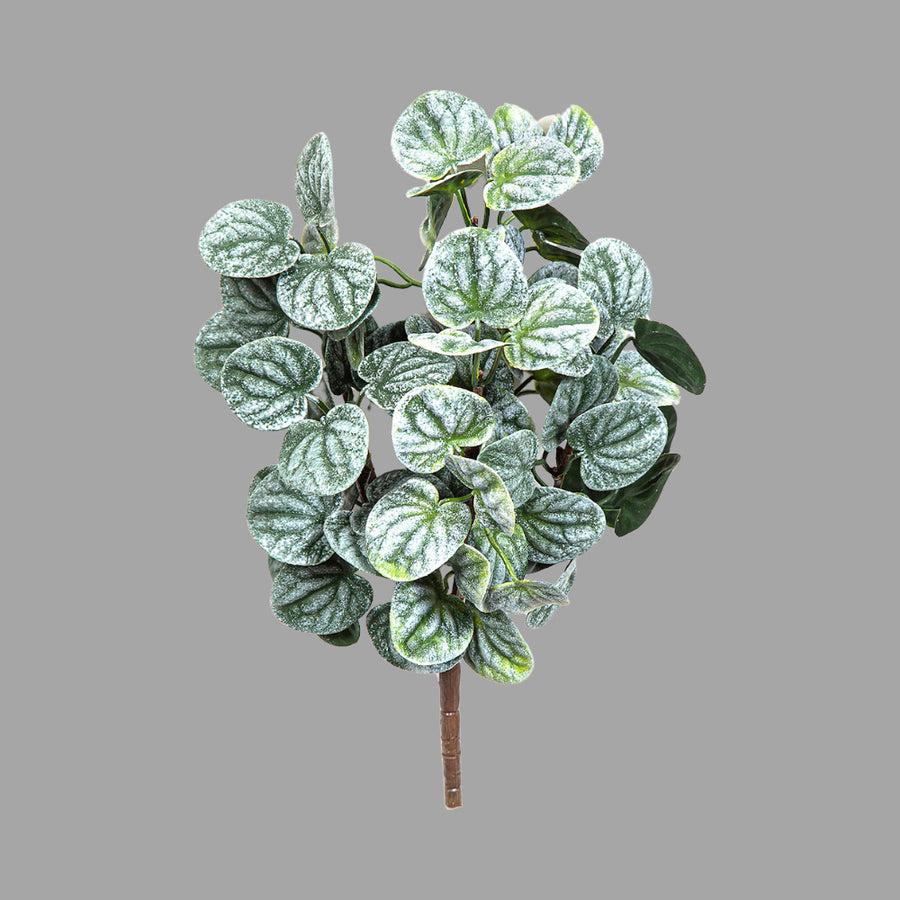 Dús levelű Peperomia műnövény betűzhető kivitelben semleges szürke háttér előtt