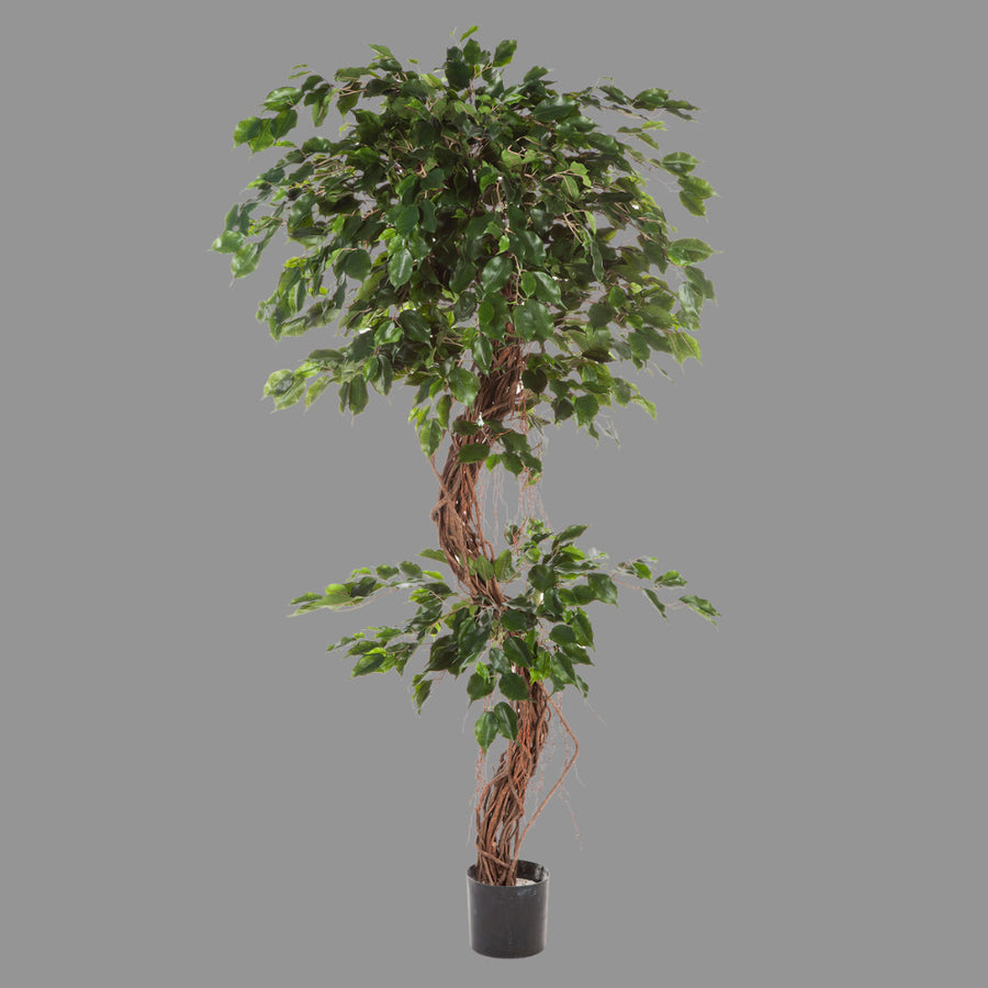 Élethű megjelenésű, mesterséges fikusz cserje fekete színű, műanyag kaspóban