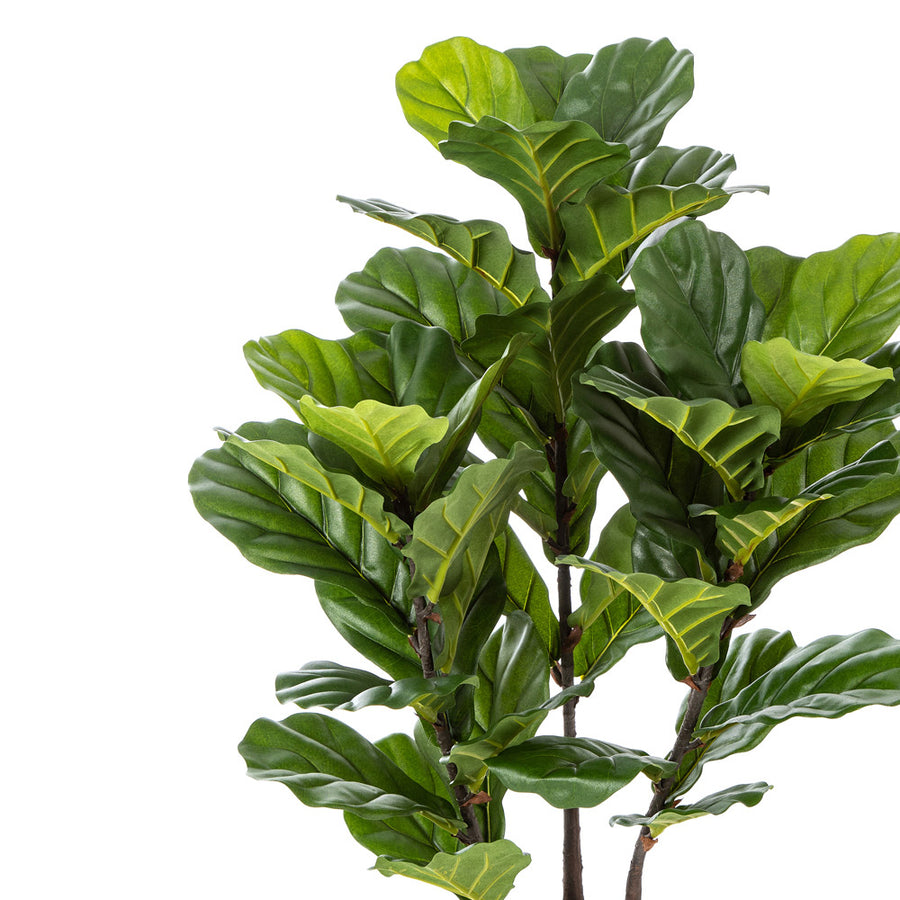 Élethű megjelenésű, mesterséges fikusz cserje, fekete színű, műanyag kaspóban.