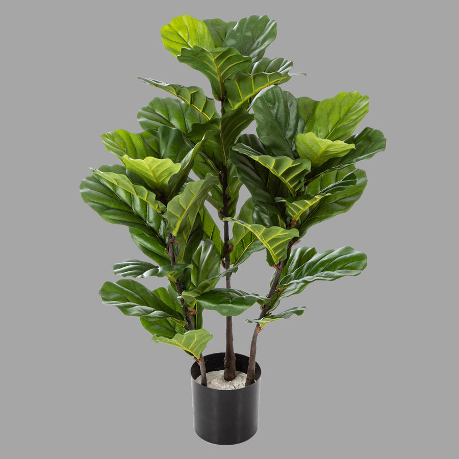 Élethű megjelenésű, mesterséges fikusz cserje, fekete színű, műanyag kaspóban.