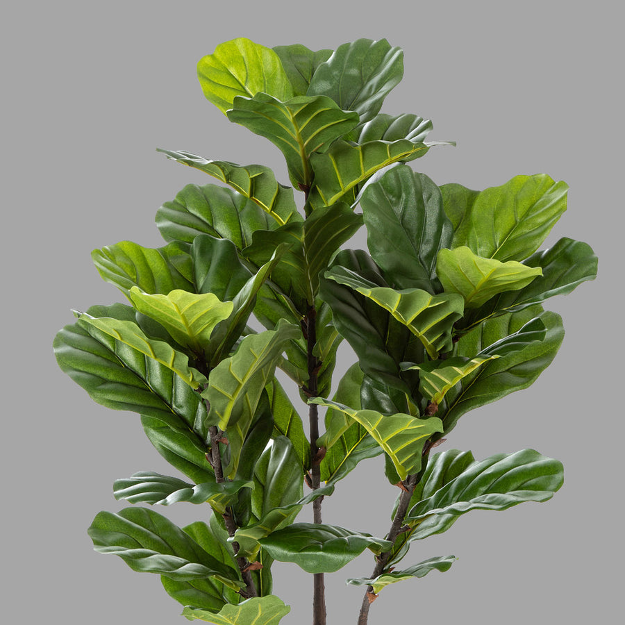 Élethű megjelenésű, mesterséges fikusz cserje, fekete színű, műanyag kaspóban.