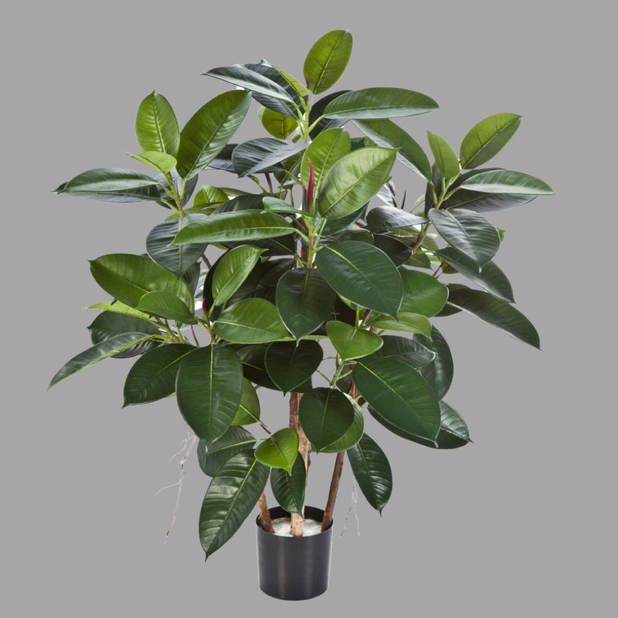 Élethű megjelenésű, merséges fikusz cserje, fekete színű, műanyag kaspóban