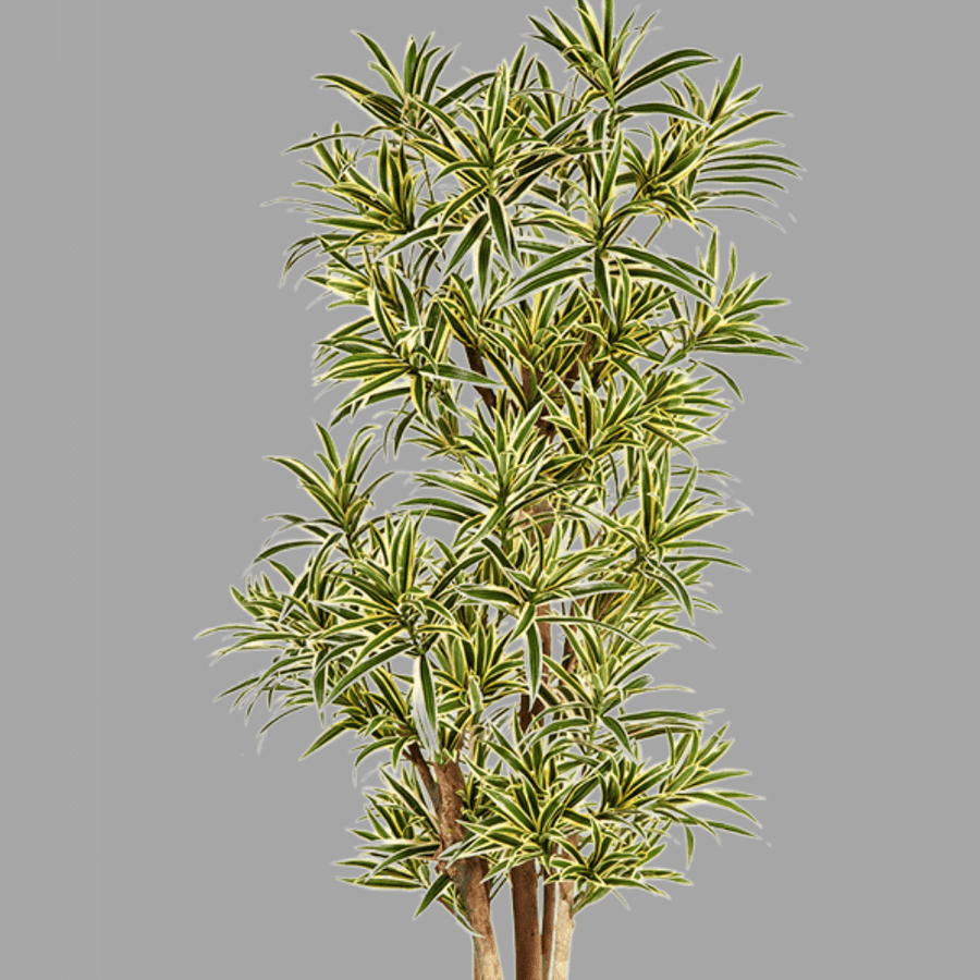 Élethű megjelenésű, tűzálló mű sárkányfa, fekete színű műanyag cserépben