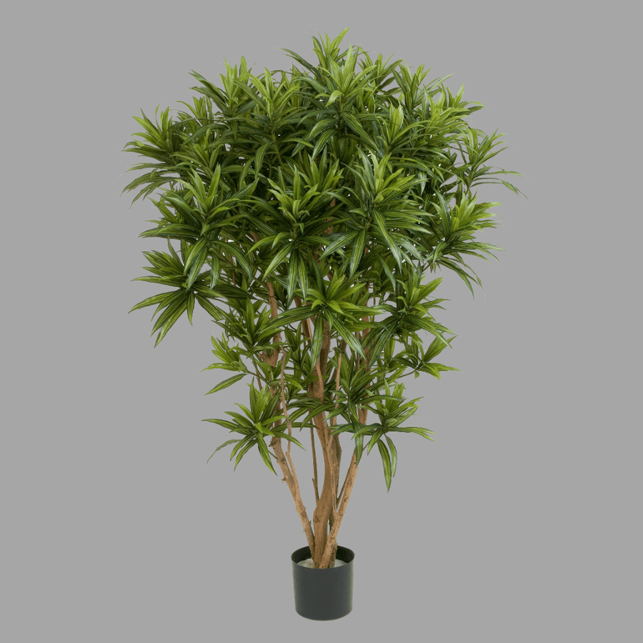 Élethű megjelenésű, mű sárkányfa, fekete színű műanyag cserépben