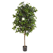 Élethű megjelenésű, fehér színű virágokkal és bimbókkal tarkított kamélia cserje