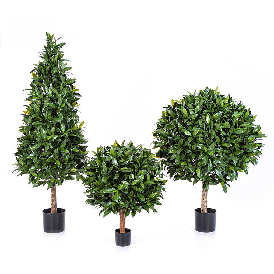 A Laurel kollekció három élethű mű babérfája