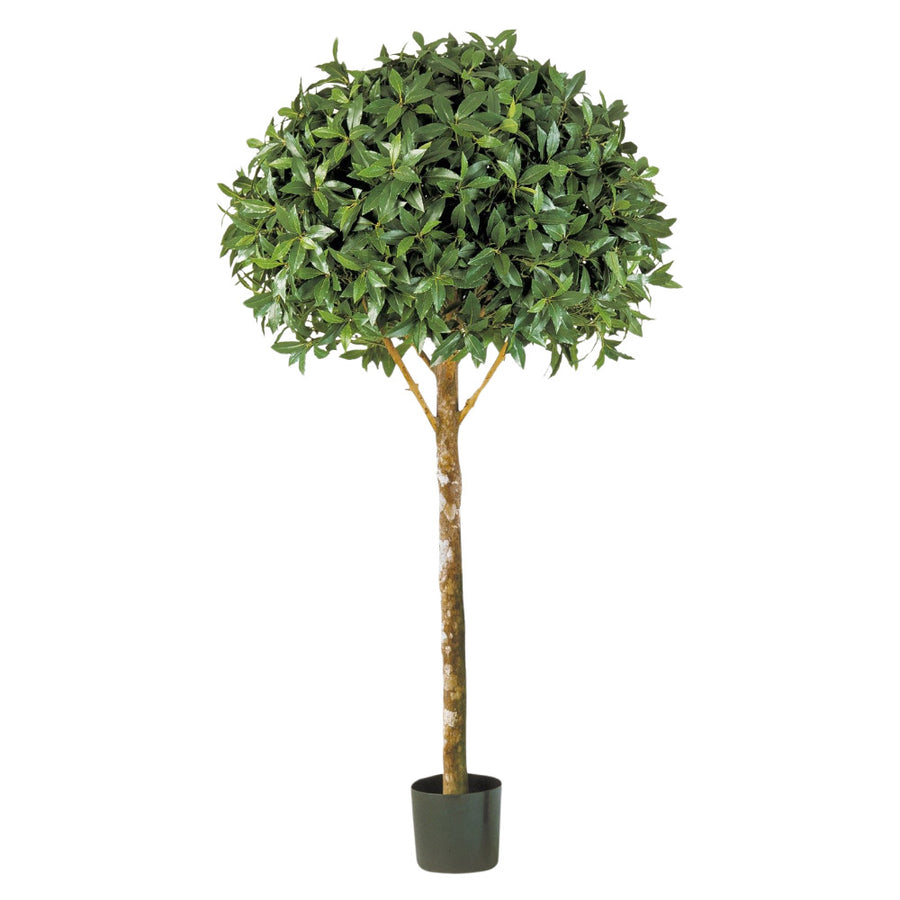 LAUREL babérfa műnövény 170 cm