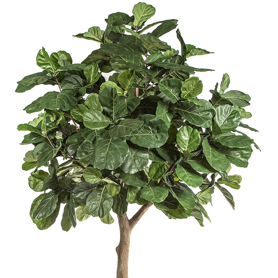 Óriás méretű, élethű, mesterséges fikusz fekete színű, műanyag kaspóban