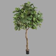 Óriás méretű, élethű, mesterséges fikusz fekete színű, műanyag kaspóban