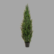 UV-álló, 150 cm magas, mű cédrus tuja műnövény fekete, műanyag cserépben