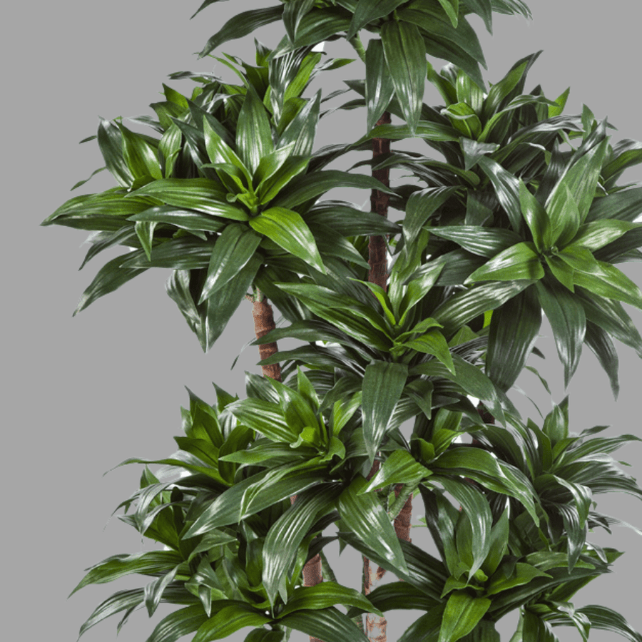 Élethű megjelenésű, mű sárkányfa, fekete színű műanyag cserépben