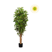 UV-álló, mesterséges fikusz cserje fekete kaspóban