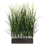 120 cm magas és 60 cm hosszú, élethű díszfű térelválasztó faládában.