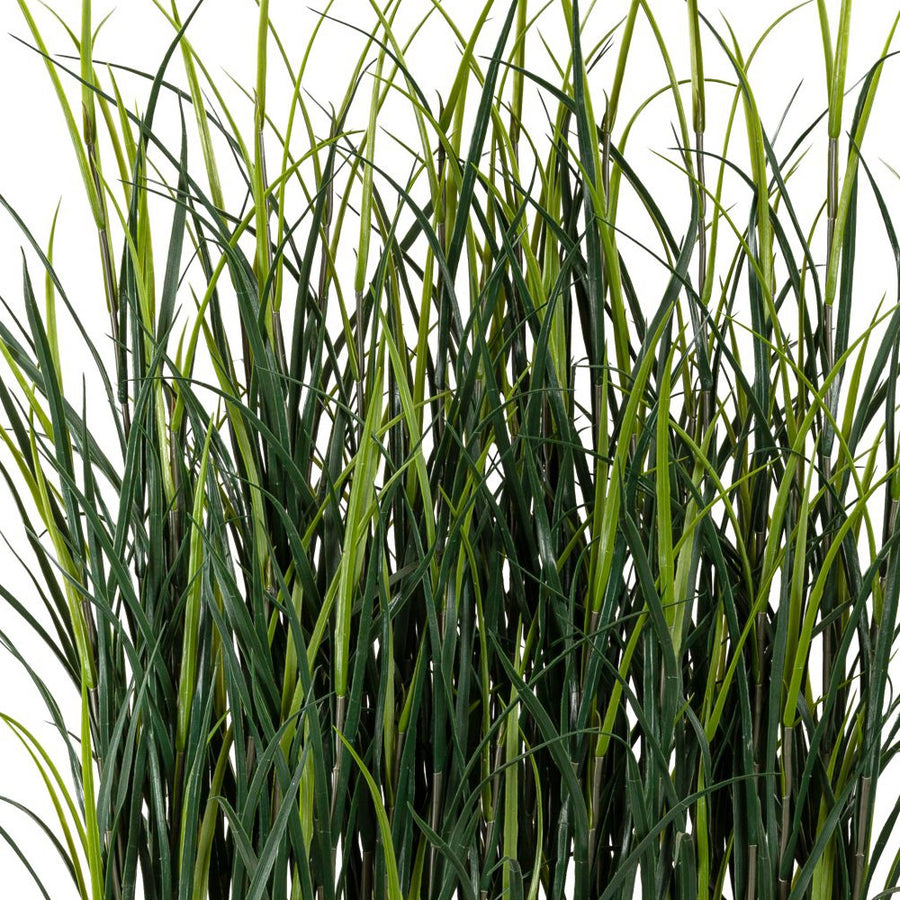 120 cm magas és 60 cm hosszú, élethű díszfű térelválasztó faládában.