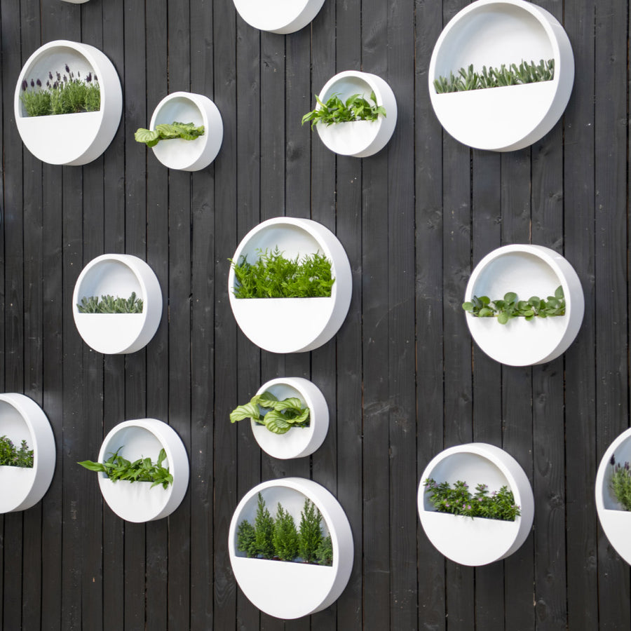 Modern fehér fali kaspók növényekkel kültéri faldekorációként lécfallal határolt udvaron