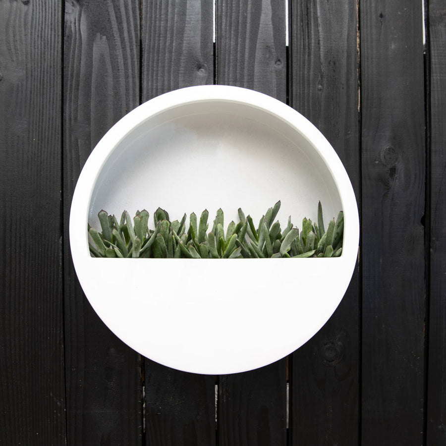 Fehér színű, fiberstone fali kaspó pozsgás növényekkel beültetve