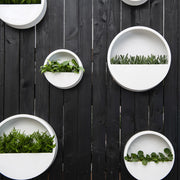 Modern fehér fali kaspók növényekkel kültéri faldekorációként