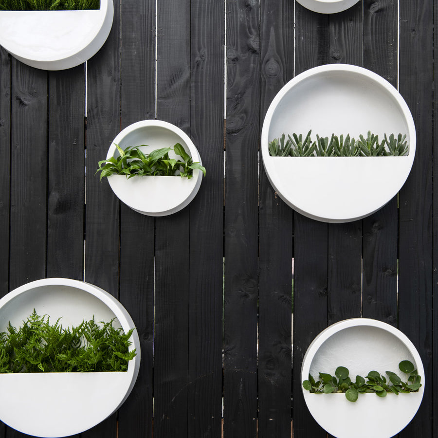 Modern fehér fali kaspók növényekkel kültéri faldekorációként