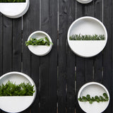 Modern fehér fali kaspók növényekkel kültéri faldekorációként