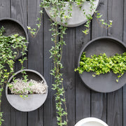 Modern fekete fali kaspók növényekkel kültéri faldekorációként