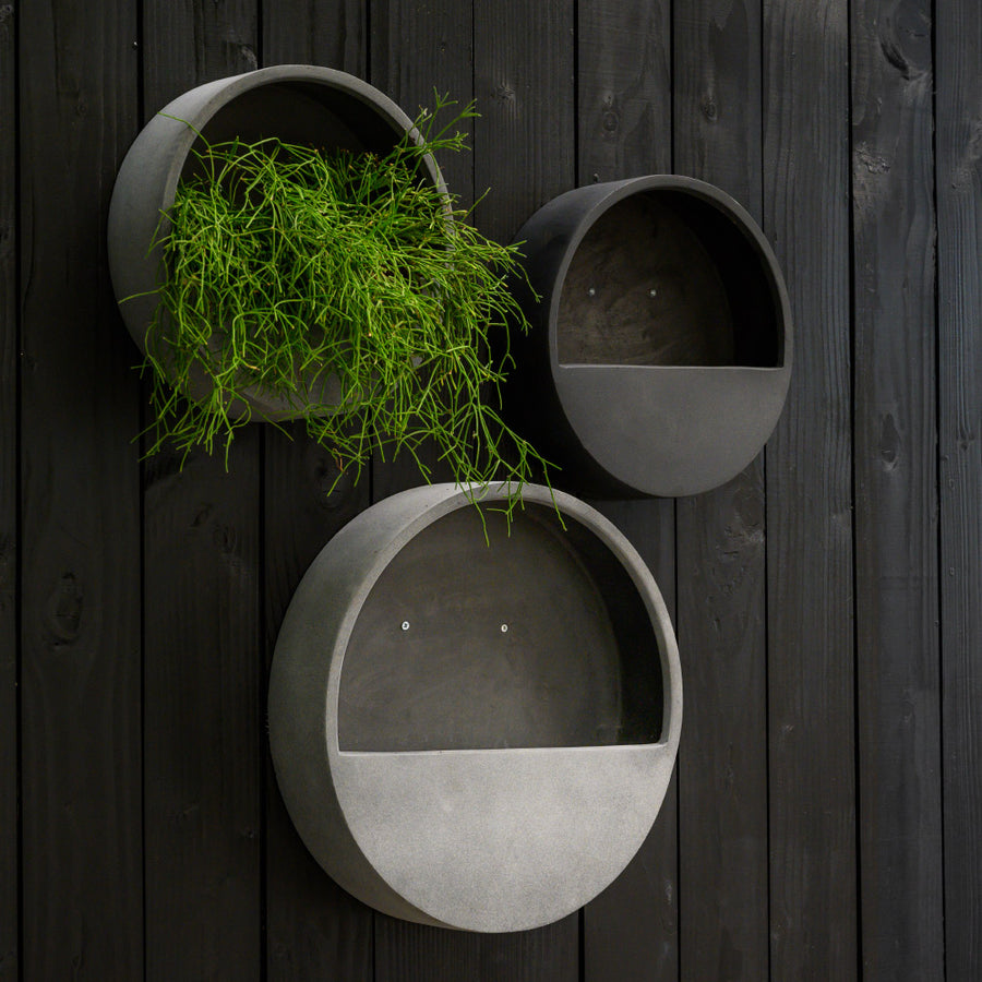 Modern fekete fali kaspók növényekkel kültéri faldekorációként