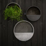 Modern fekete és szürke fali kaspók növényekkel kültéri faldekorációként