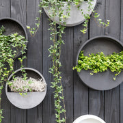 Modern fekete és szürke fali kaspók növényekkel kültéri faldekorációként