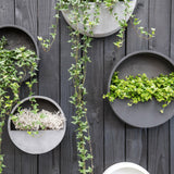 Modern fekete és szürke fali kaspók növényekkel kültéri faldekorációként