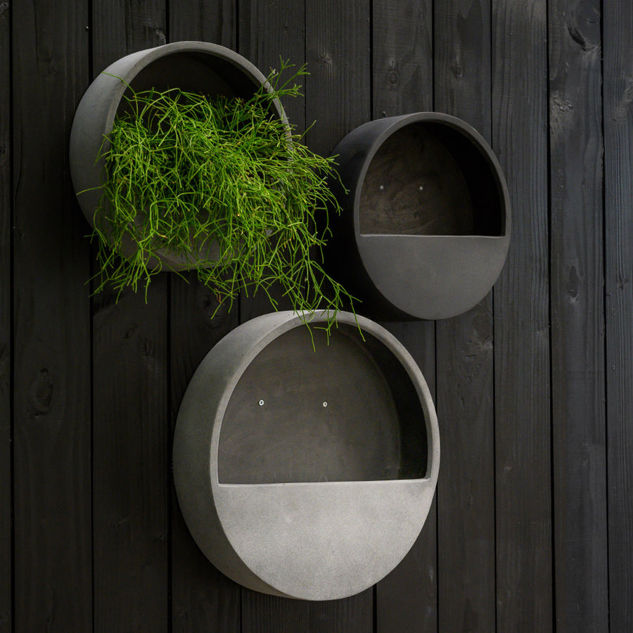 Modern fekete és szürke fali kaspók növényekkel kültéri faldekorációként