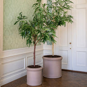 Heritage taupe hengeres fiberstone kaspó díszfával, a kollekció nagyobb kaspójával együtt, elegáns klasszikus enteriőrben.