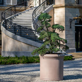 Heritage taupe hengeres fiberstone kaspó formára nyírt örökzölddel, elegáns kültéri környezetben