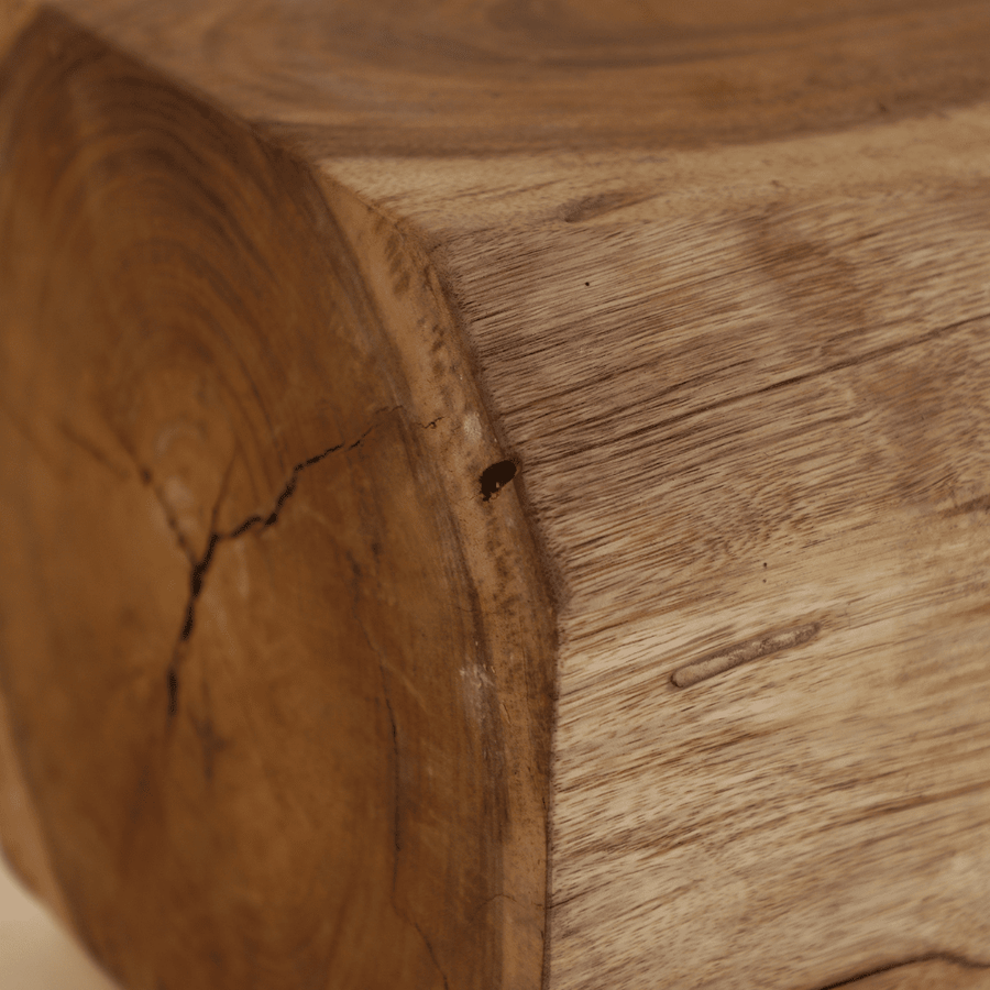 Törzsi stílusú, rusztikus megjelenésű, tömör suarfatörzsből készült dohányzóasztal