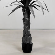 Modern fekete agave műnövény texturált törzzsel és fekete cserépben.