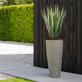 AGAVE zöld mű agávé növény magas dekoratív kaspóban modern kültéri környezetben