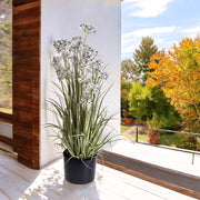 Mű díszhagymafű 115 cm magas, virágzó dekoráció teraszon elhelyezve.