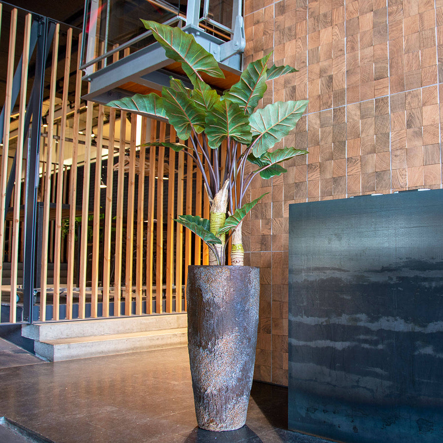 ALOCASIA műnövény exkluzív belső térben, modern magas kaspóban elhelyezve